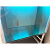Image 4 : Esco Laminar Flow Cabinet, 2024 Cost $6,500