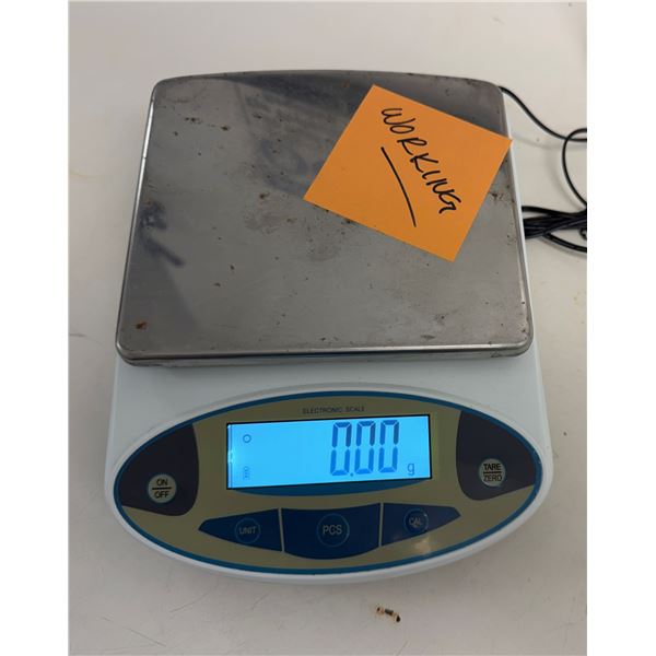 Electronic Digital Scale