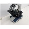 Image 3 : AmScope Compound Microscope WF10X