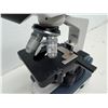 Image 4 : AmScope Compound Microscope WF10X