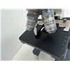Image 6 : AmScope Compound Microscope WF10X
