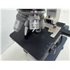 Image 7 : AmScope Compound Microscope WF10X