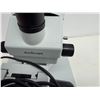 Image 7 : AmScope MIC-209 Trinocular Stereo Zoom Microscope WF10X/20