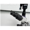 Image 13 : Swift Digital Compound Microscope WF10X