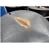 Image 2 : Round Black Commercial Tank 62" Dia, 36"H