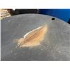 Image 5 : Round Black Commercial Tank 62" Dia, 36"H