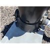 Image 20 : Qty 5 Watts Big Bubba BBH-150 Filter Housings