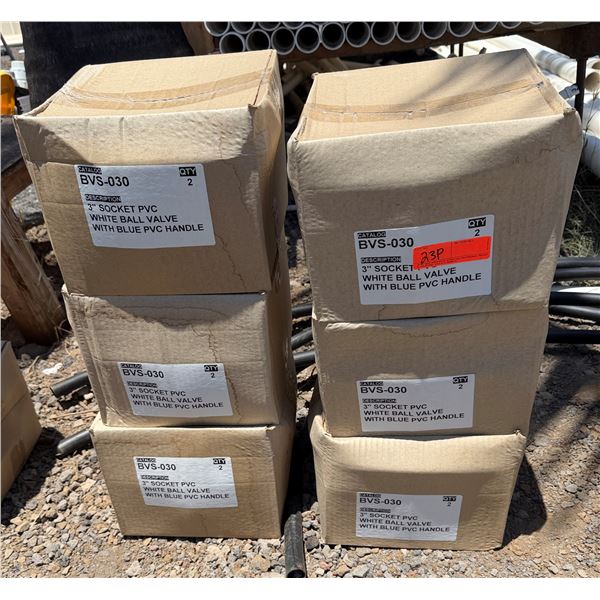 Qty 6 Boxes (of 2 each=12 Valves) BVS-030  3" PVC Ball Valves