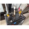 Image 4 : Rinnai Tankless Water Heater