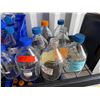 Image 2 : Multiple Bins w/ Glass Bottles, Misc Sizes