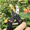 Image 5 : 8" Professional Pruning Pro Titanium Pruning Shears - Ergonomic Garden Clippers/Pruners - New