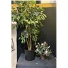Image 1 : 2 Artificial plants