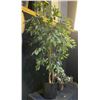 Image 2 : 2 Artificial plants