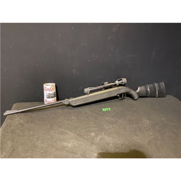 Pellet Gun