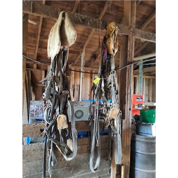 Double Working Horse Harness