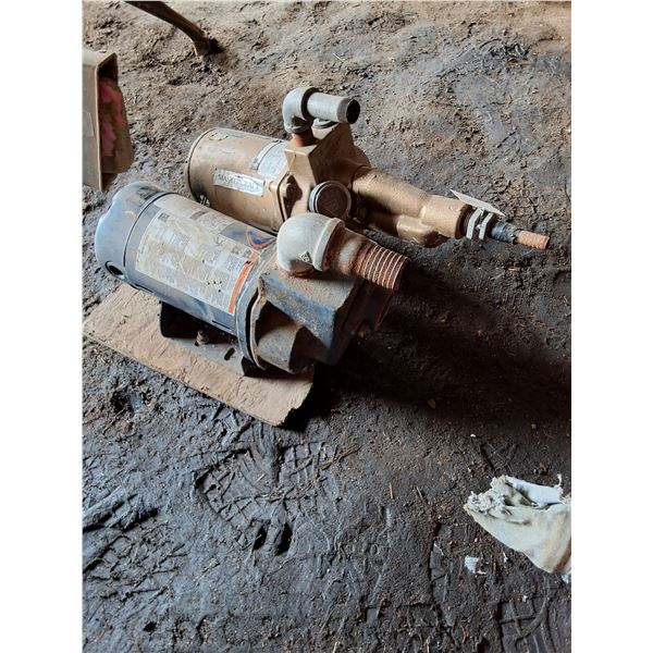 (2) Berkeley and Craftsman Water Pumps