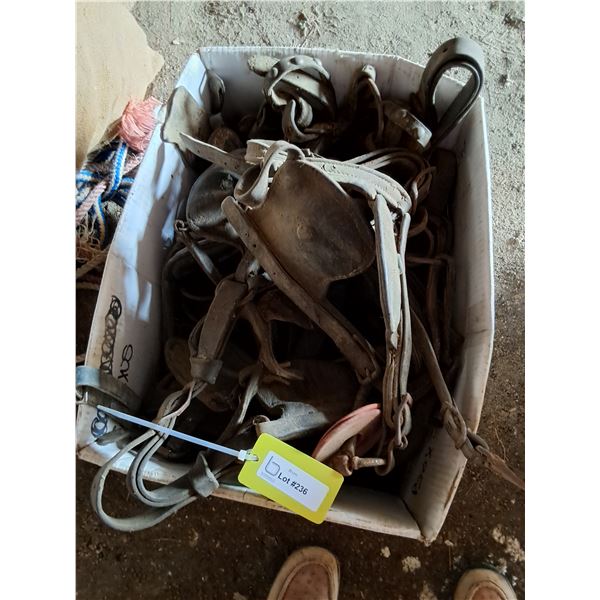 Box of Used Harness Pieces, Bridles