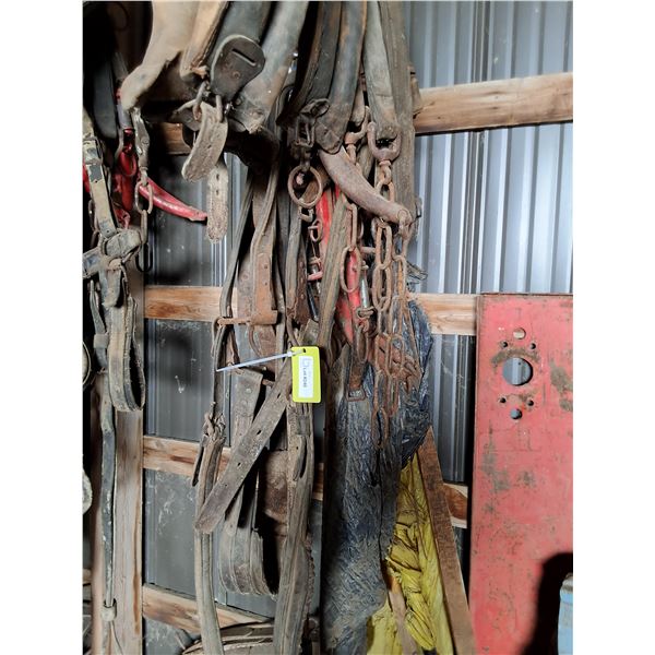 Double Harness, (2) Collars, Steel Hames