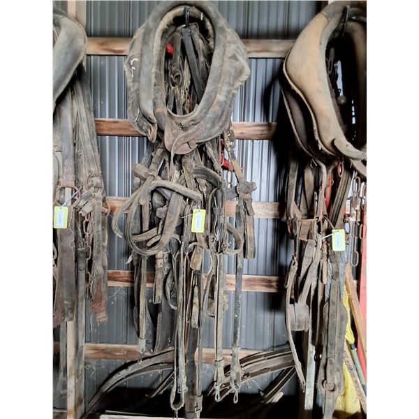 Double Harness, (2) Collars, Steel Hames