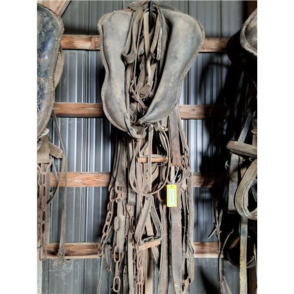 Double Harness, (1) Collar, Steel Hames