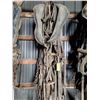 Image 1 : Double Harness, (1) Collar, Steel Hames