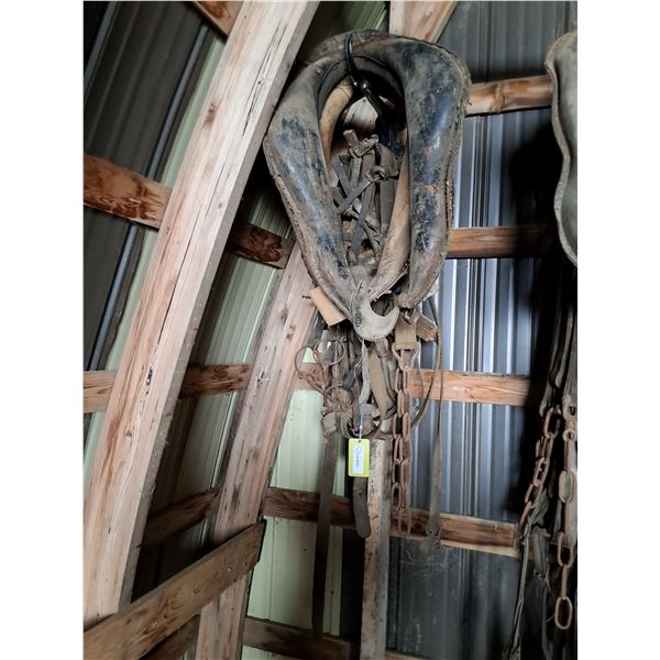 Double Harness, (2) Collars, Steel Hames, (2) Bridles