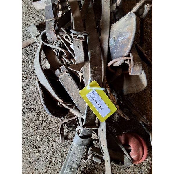 Used Leather Harness Parts, Bridle