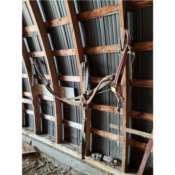Single Driving Harness and Steel Hames