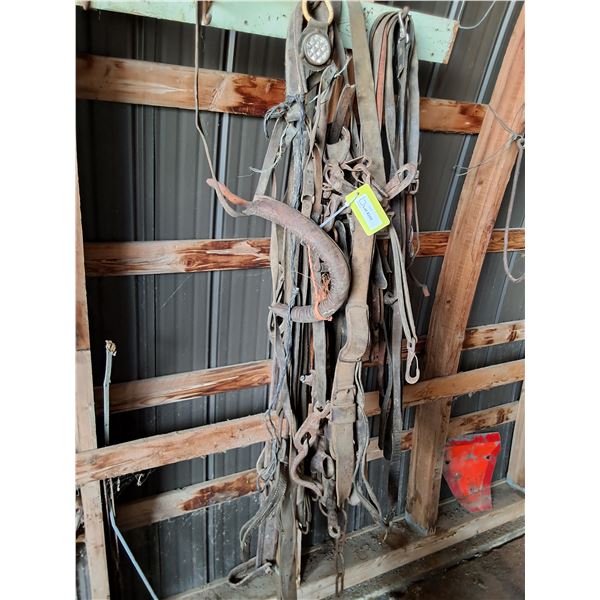 Lines, Crouper, Misc Harness Pieces