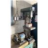 Image 1 : PEERLESS PD-16 BENCH TOP DRILL PRESS & CONTINENTAL 506 CBG BENCH GRINDER