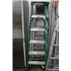 Image 1 : Werner FG  6'  Stepladder