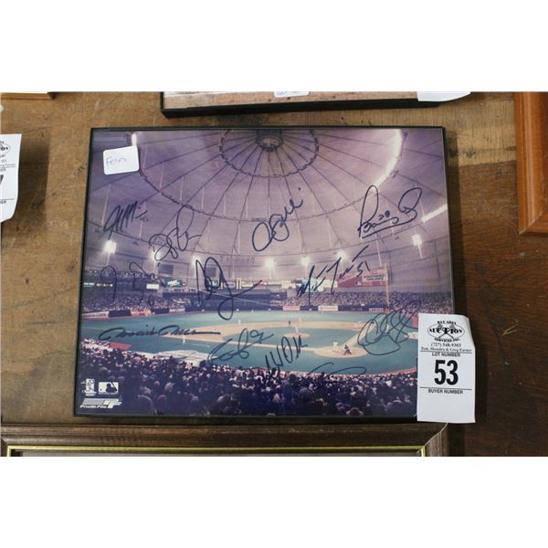 TB Rays Team Autographed Stadium Photo