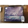 Image 1 : TB Rays Team Autographed Stadium Photo