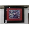 Image 1 : TB Bucs Superbowl 37 Framed Photo