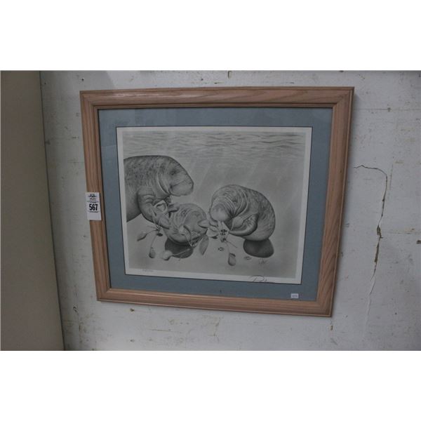 Manatee Wall Art Artist Signed - 18"  X  30"