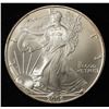 Image 1 : 2006  AMERICAN SILVER EAGLE
