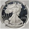 Image 2 : 2020-S AMERICAN SILVER EAGLE NGC PF 69 UCAM