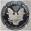 Image 3 : 2020-S AMERICAN SILVER EAGLE NGC PF 69 UCAM