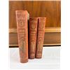 Image 1 : Antique Jngemann Books