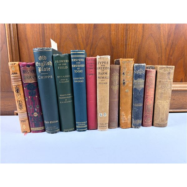 Antique Book Lot