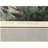 Image 2 : "Alberta Wild Rose III" Print by E.Baer