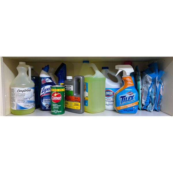 Household Cleaning Lot