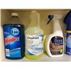 Image 5 : Household Cleaning Lot