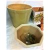 Image 5 : Planter Pots