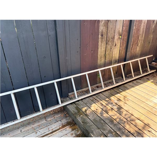 14' Ladder