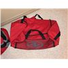 Image 6 : 5 Backpacks and Duffel Bags