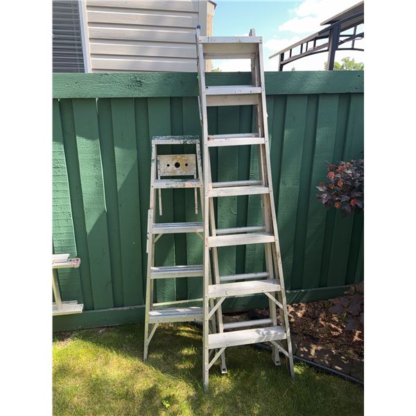Aluminum Step Ladder and Extension Ladder Set