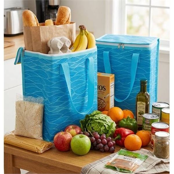 lot of 2 Insulated Tote Bags with Zippered closure
