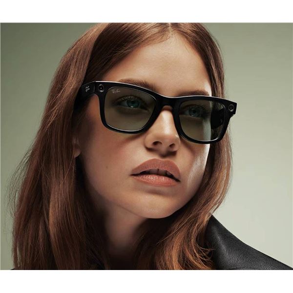 Ray-Ban Meta Wayfarer Gen 2 RW4012 Sunglasses