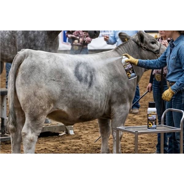 Winner's Brand ProTouch Smoke Gray Paint, 11x283g